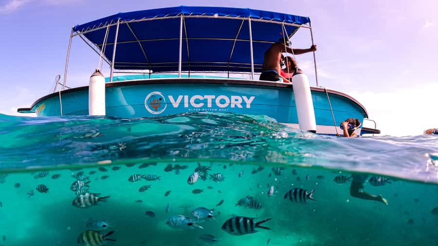 Blue Bay: Blue Bay Glass Bottom Boat Visit and Snorkeling - Forty-five minutes in the Blue Bay Marine Park