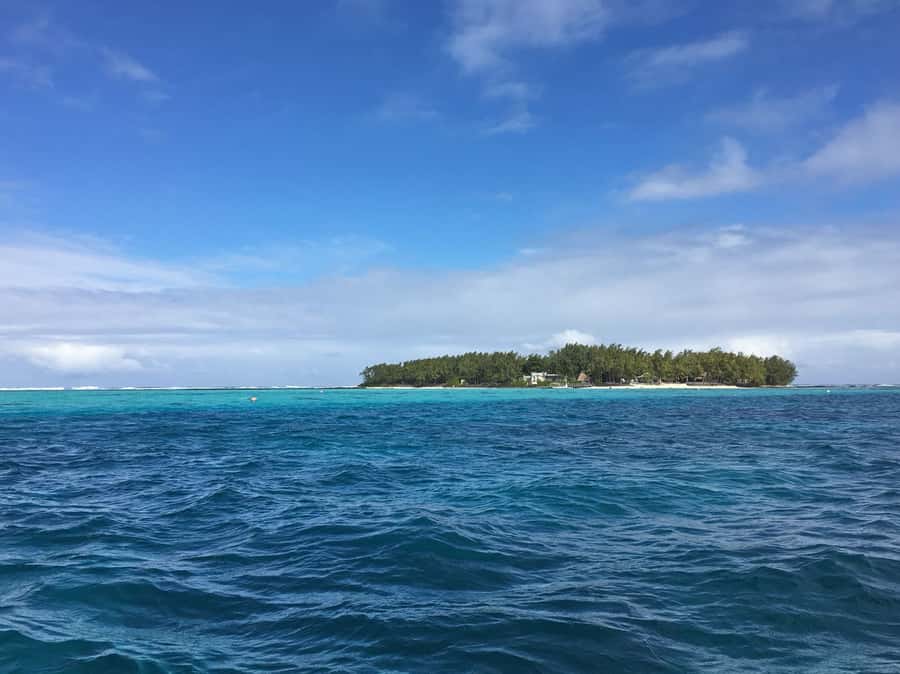 Blue Bay: Half-Day Snorkeling Trip with Creole Picnic Lunch - Crew Service Is a Major Part of the Value