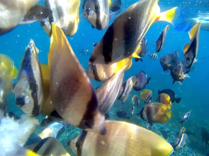 Blue Lagon Snorkeling, Waterfall, and Celuk Village Tour - Key points to know before booking