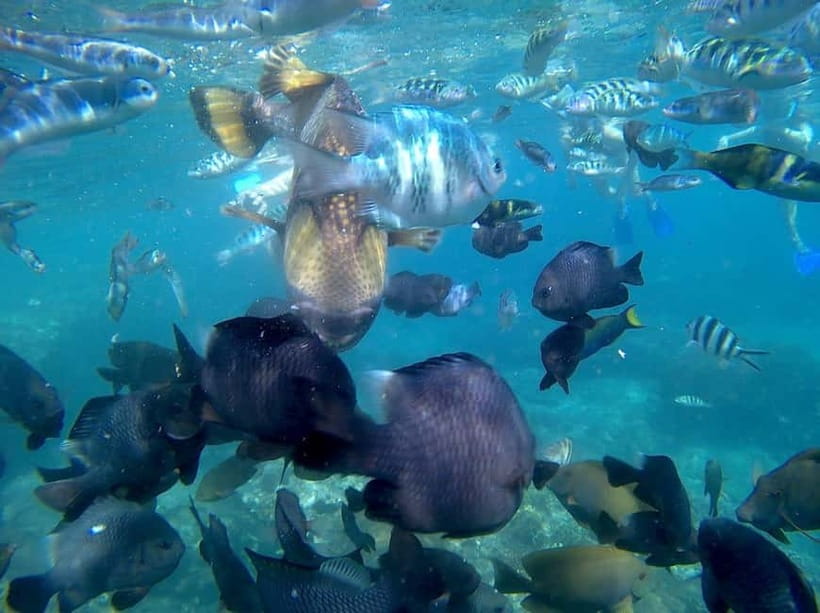 Blue Lagon Snorkeling, Waterfall, and Celuk Village Tour - Two snorkeling stops near Bali’s east coast