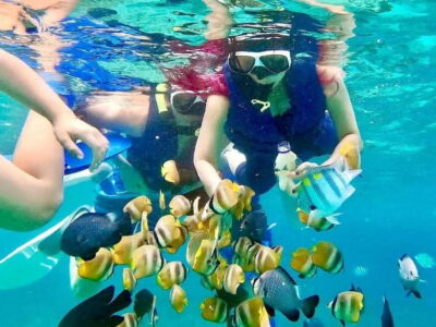 Blue Lagon Snorkeling, Waterfall, and Celuk Village Tour