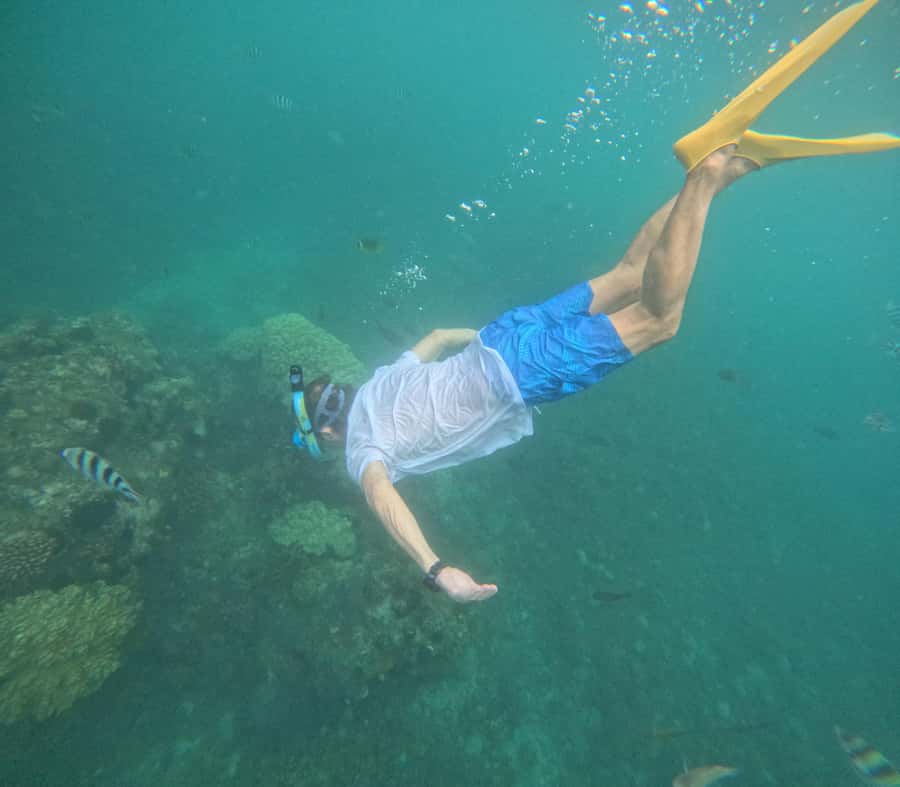 Blue Lagoon and Tanjung Jepun Snorkeling Tour - What the guide adds to the experience