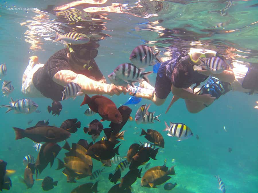 Blue Lagoon and Tanjung Jepun Snorkeling Tour - Equipment, facilities, and comfort