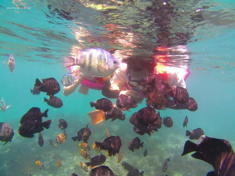 Blue Lagoon and Tanjung Jepun Snorkeling Tour - The short ride from the beach