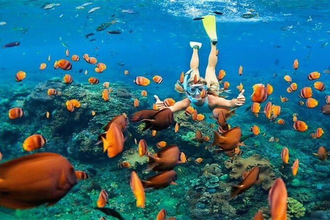 Blue Lagoon Snorkeling with Lunch and Private Transport - Who will enjoy this outing most?