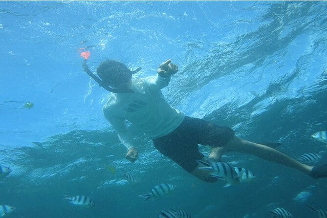 Blue Lagoon Snorkeling with Lunch and Private Transport - Tanjung Jepun and the traditional boat ride