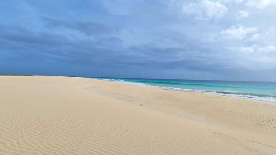 Boa Vista: Beautiful Beaches, Turtles & Djeu Island Snorkel - Shark Bay: a chance to see young lemon sharks