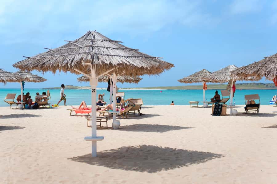 Boa Vista: Beautiful Beaches, Turtles & Djeu Island Snorkel - Turtle Bay and natural wildlife