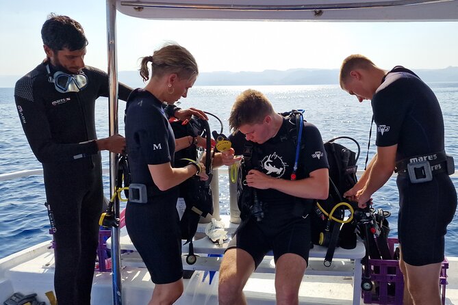 Boat Dive and Snorkeling Experience in Aqaba - Second stop: snorkeling among coral and fish