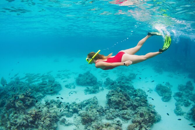 Boat Dive and Snorkeling Experience in Aqaba - Equipment, instruction, and comfort
