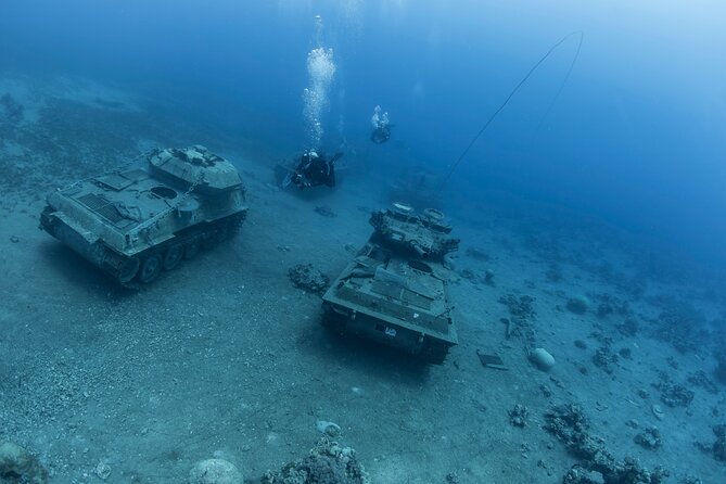 Boat Dive and Snorkeling Experience in Aqaba - What the $123.19 price delivers