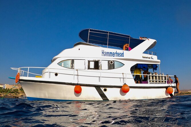 Boat Dive and Snorkeling Experience in Aqaba - First stop: a guided underwater session