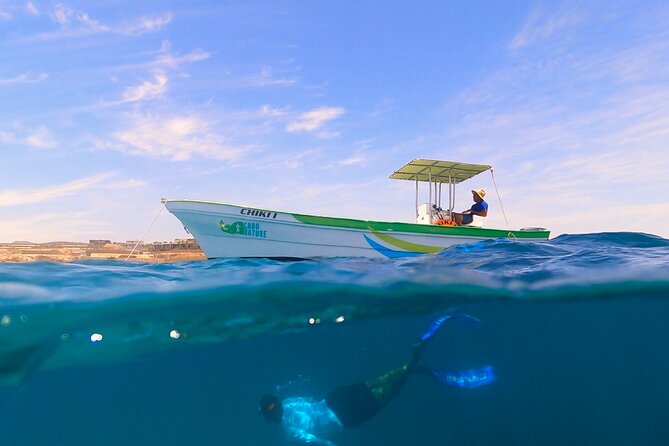 Boat ride to the Arch and Snorkel - What the crew adds to the experience