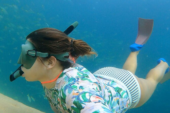 Boat ride to the Arch and Snorkel - Price, meeting point, and practical value