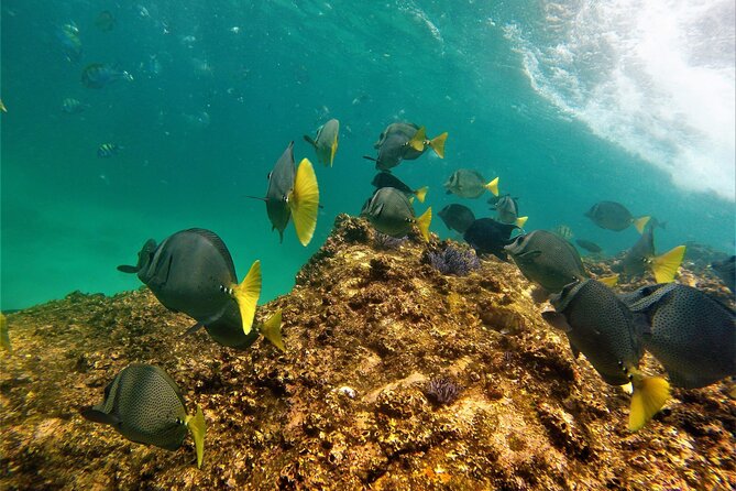 Boat ride to the Arch and Snorkel - Should you book Boat Ride to the Arch and Snorkel?