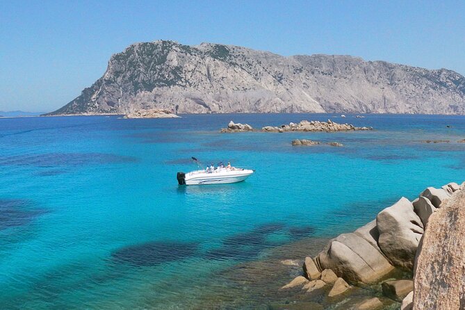 Boat Tour and Snorkeling Golfo di Olbia Private up to 6 people - Key points to know before booking