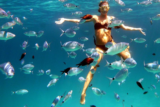 Boat Tour and Snorkeling Golfo di Olbia Private up to 6 people - Setting out from Marina di Olbia at 10 a.m.