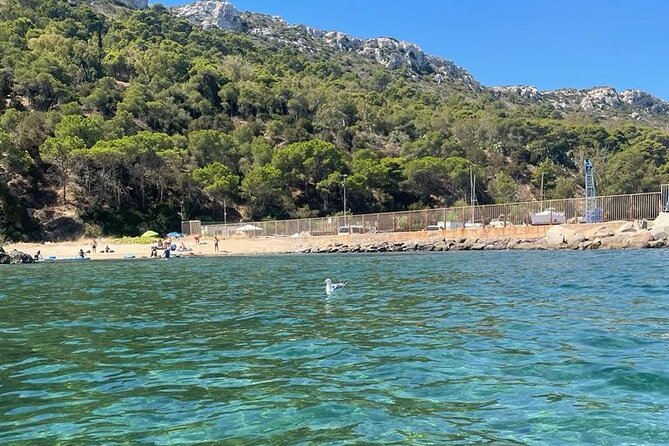 Boat Tour in Cagliari Saddle of the Devil Stops Swimming Snorkeling - What the small group changes