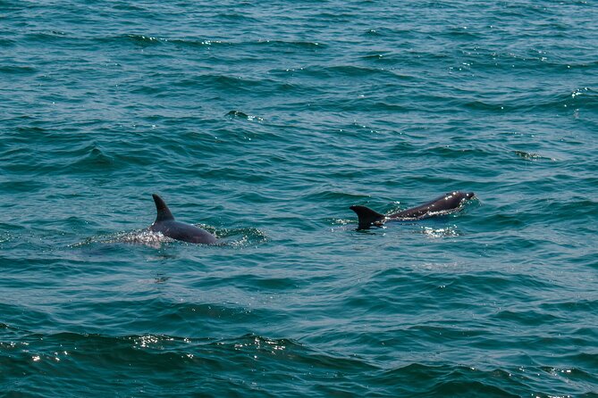 Boat Tour Snorkeling Tour with Guide, Drinks and Fruit - Cabo’s landmark circuit, from Playa del Amor to El Arco