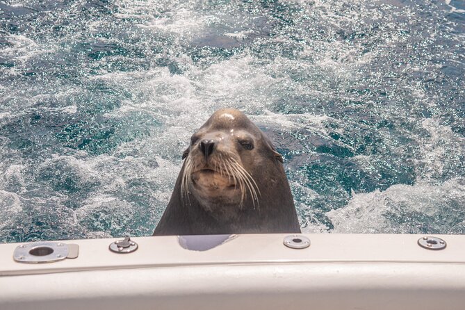 Boat Tour Snorkeling Tour with Guide, Drinks and Fruit - What the service may be like on the day