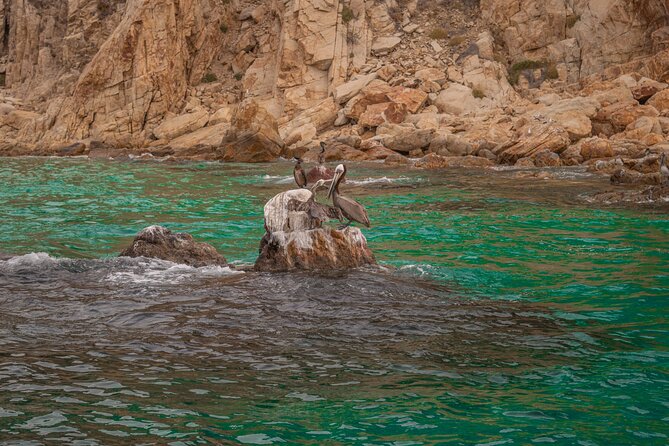 Boat Tour Snorkeling Tour with Guide, Drinks and Fruit - Booking, weather, and cancellation details