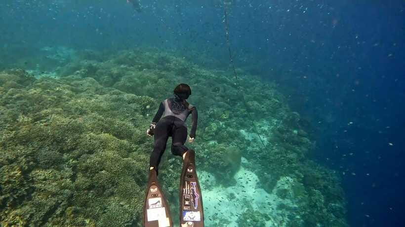 Bohol: Boat Tour to Sandbar and Snorkeling with Turtles - Virgin Island Sandbar after rehabilitation