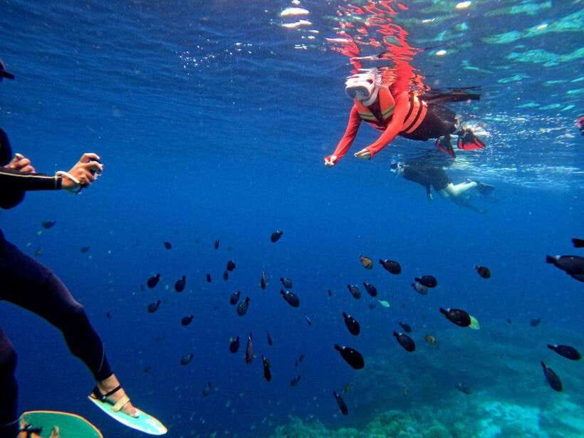 Bohol: Boat Tour to Sandbar and Snorkeling with Turtles - How the weather and sea conditions affect the day