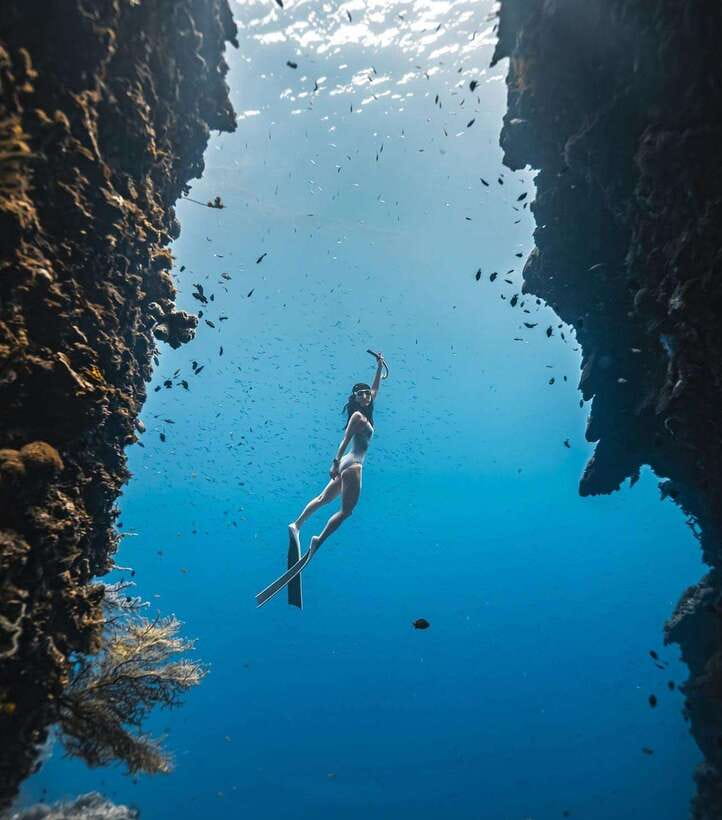 Bohol: Guided Sardine Reef Snorkeling Experience - What happens during the four-hour outing