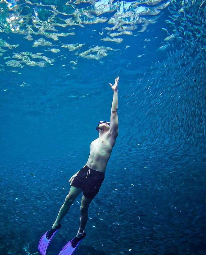 Bohol: Guided Sardine Reef Snorkeling Experience - A good setup for first-time snorkelers