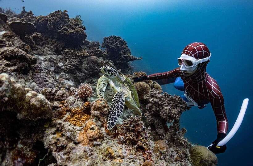 Bohol: Guided Sardine Reef Snorkeling Experience - The guides make the difference