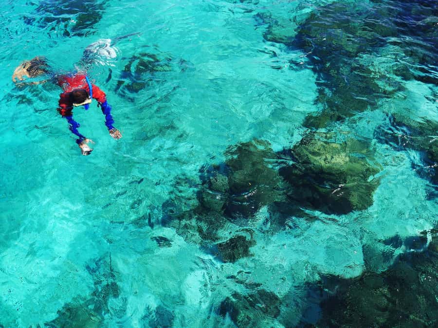 Bohol: Private Balicasag Tour with extra snorkeling time - Extra snorkeling beyond the main site