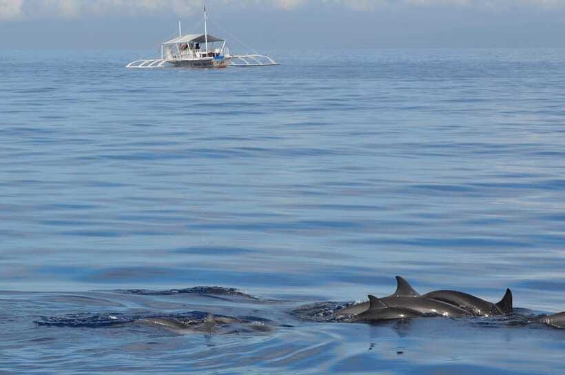 Bohol: Private Balicasag Tour with extra snorkeling time - The private format, with limits