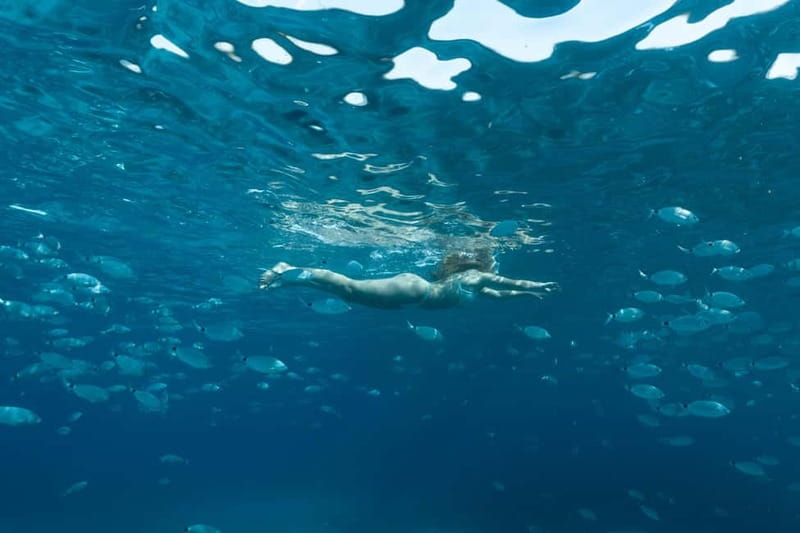 Bonifacio: Catamaran trip with snorkeling at the Lavezzi Islands - Practical packing advice for Piantarella
