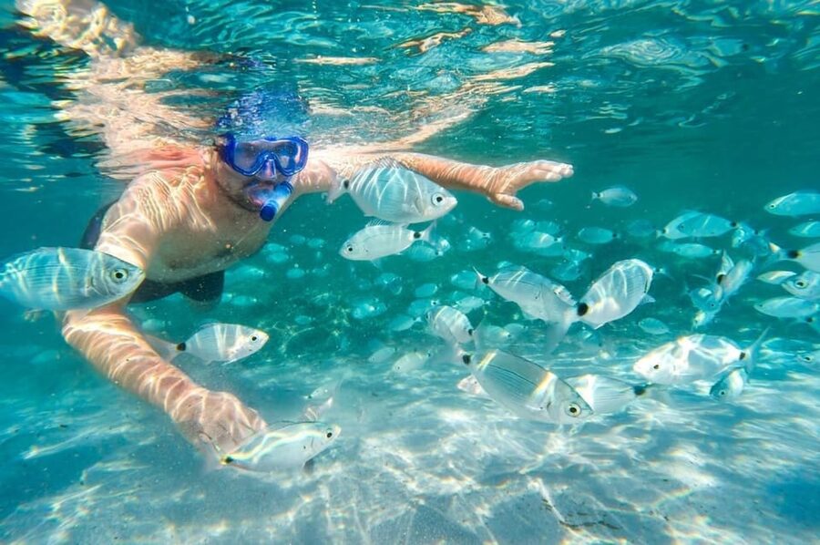 Bonifacio: croisière guidée et snorkelling aux îles lavezzi - Practical tips before you go