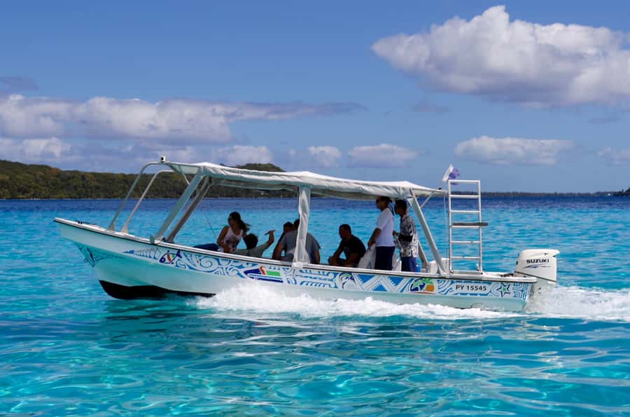 Bora Bora: Eco Shark and Snorkeling Safari - Should you book the Bora Bora Eco Shark and Snorkeling Safari?