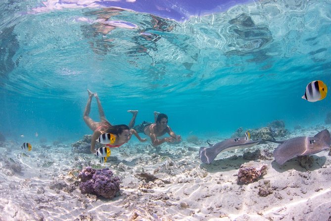 Bora Bora Eco Snorkel Cruise Including Snorkeling with Sharks and Stingrays - Why this short Bora Bora cruise works so well