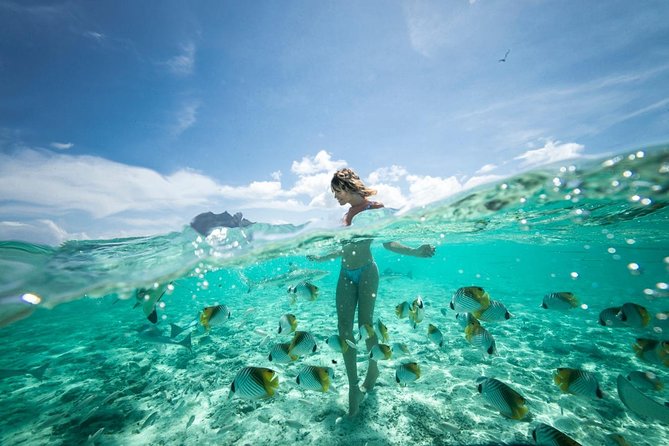Bora Bora Eco Snorkel Cruise Including Snorkeling with Sharks and Stingrays - Who will get the most from this tour?