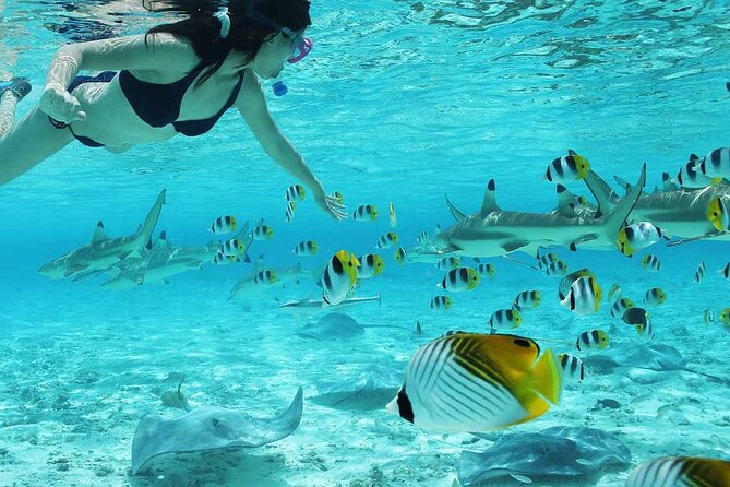 Bora Bora Full Day Snorkeling with Lunch - What to bring and how to prepare