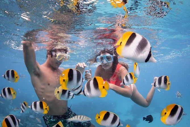 Bora Bora Jet Ski Tour, & Eco Shark / Ray Snorkel Cruise - What the Six-and-a-Half-Hour Day Feels Like