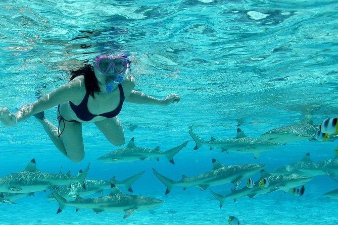 Bora Bora Jet Ski Tour, & Eco Shark / Ray Snorkel Cruise - Conditions, Safety, and Physical Demands