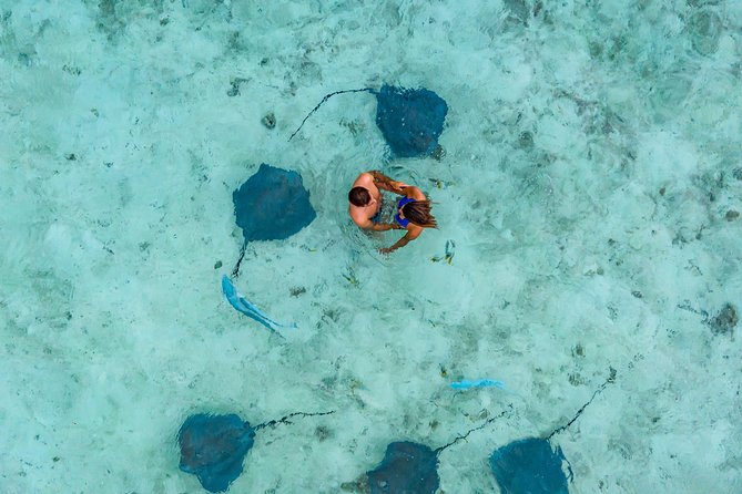 Bora Bora Jet Ski Tour, & Eco Shark / Ray Snorkel Cruise - The Motu Stop and Coconut Lesson