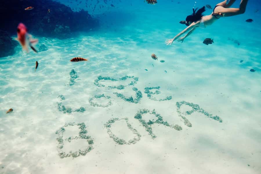 Bora Bora: Lagoon Tour and Snorkeling Experience - Second stop: the lagoon’s coral garden
