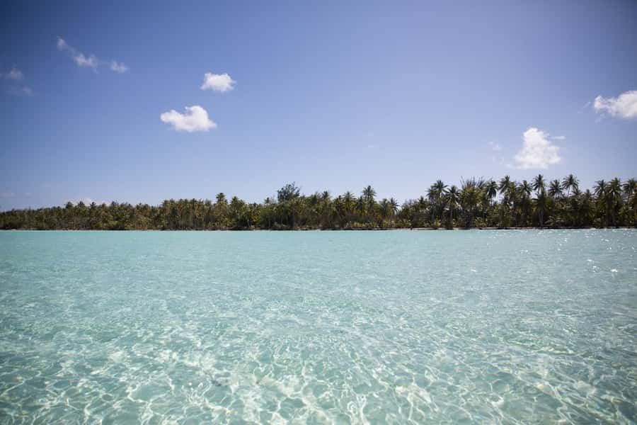Bora Bora: Lagoon Tour and Snorkeling Experience - Weather, wildlife, and expectations