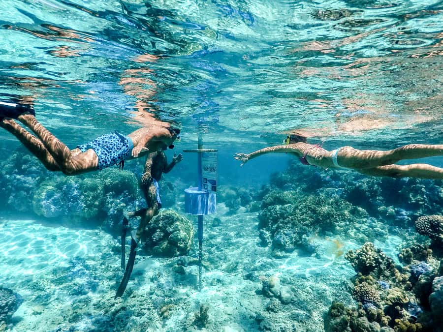 Bora Bora: Lagoon Tour and Snorkeling Experience - Who will enjoy this tour most?