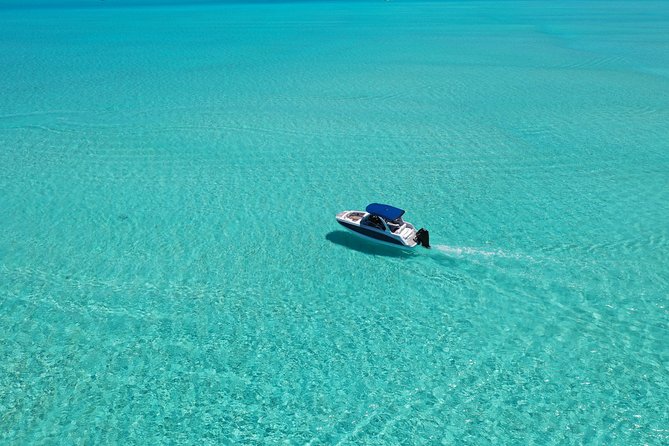 Bora Bora: Luxury Private Half Day Snorkeling Tour - Why the private format is worth considering