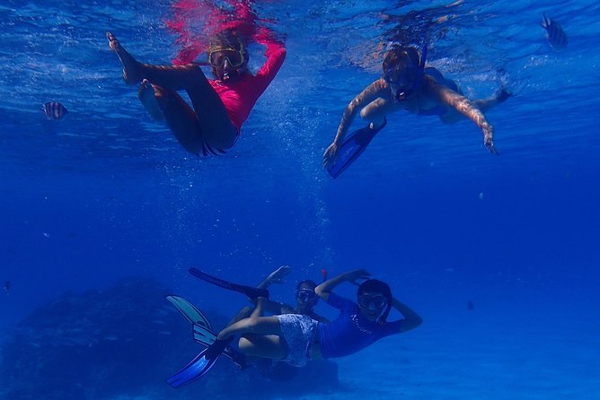 Bora Bora: Luxury Private Half Day Snorkeling Tour - How the weather policy affects your plans