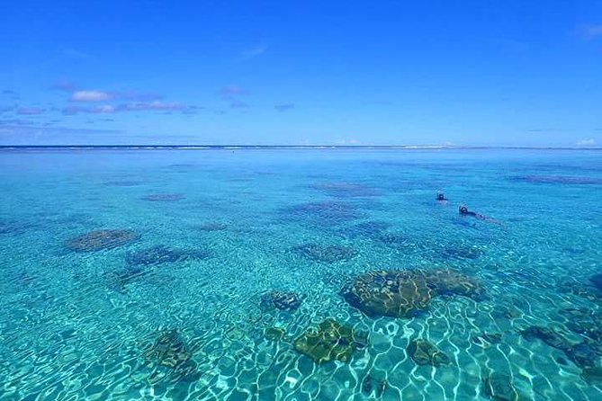 Bora Bora: Luxury Private Half Day Snorkeling Tour - Three or four stops, each with a different purpose