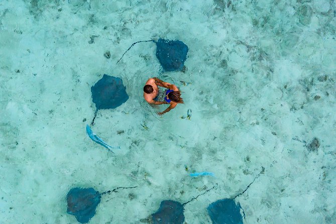 Bora Bora Snorkel Cruise by Polynesian Outrigger Canoe with BBQ Island Lunch - A six-hour circle around Bora Bora’s lagoon