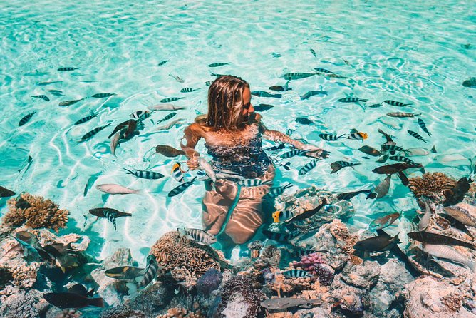 Bora Bora Snorkel Cruise by Polynesian Outrigger Canoe with BBQ Island Lunch - Sharks and stingrays in shallow water