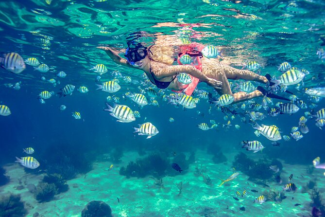Breathtaking experience driving a speedboat in Cancun with Snorkeling included - From the marina into Nichupte Lagoon